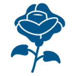 grief-support grief support houston texas